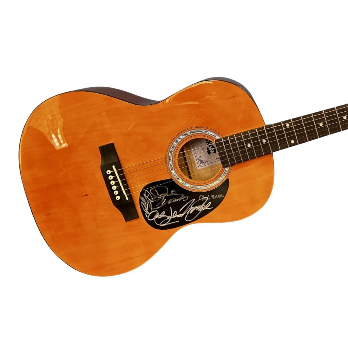 Beach Boys Guitar Raffle - logo